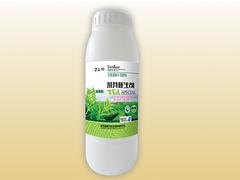 高品质茶芽催生剂推荐——河南茶芽催生剂