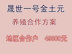 晟世养殖农业公司专业提供土元养殖合作_鹤壁土元