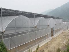 赤峰大棚阳光板哪家专业：上等大棚阳光板推荐