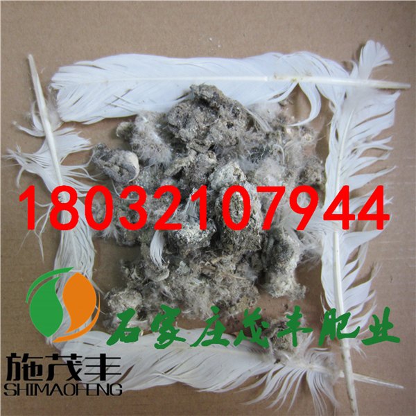 优质的鸽子粪哪里找-茂丰肥业-信誉好的鸽子粪供应