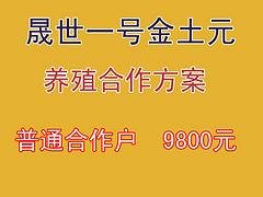 土元养殖合作找晟世养殖农业公司，土元养殖合作哪家