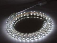 新乡LED灯带_郑州实惠的5050LED高压灯带