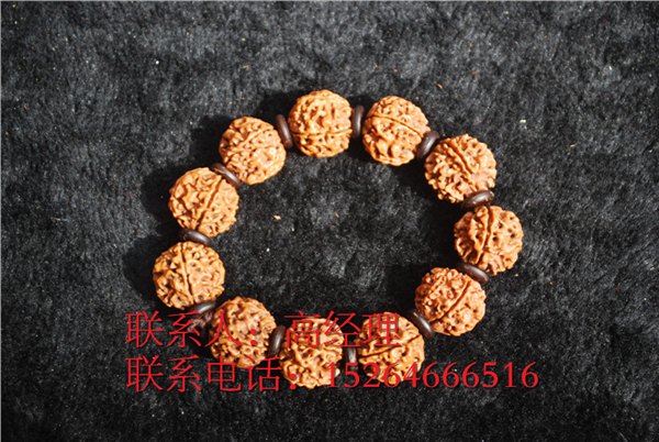 潍坊价廉物美的金刚菩提子上哪买，金刚菩提子价格