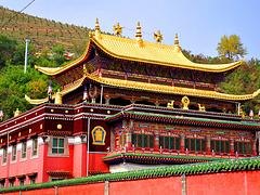 服务周到的青海旅游包车推荐：甘肃一日游