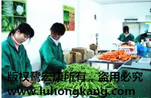 专业的厦门蔬菜配送_专业鹭宏康果蔬市场价格情况