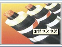 衡水哪里有供应价位合理的阻燃电缆 价格合理的阻燃