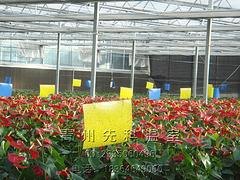 花卉展厅温室价格范围_花卉温室价格