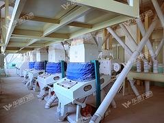 平顶山哪里有专业的万通牌 300吨玉米碴加工设备