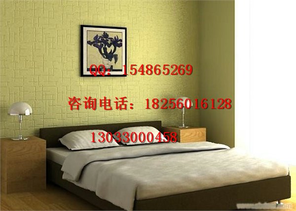 中鼎艺术涂料加盟，投资?少、风险低