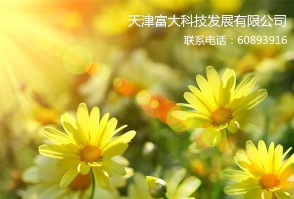 忘掉传统供暖吧！天津节能高效电供热系统是您更好的选择