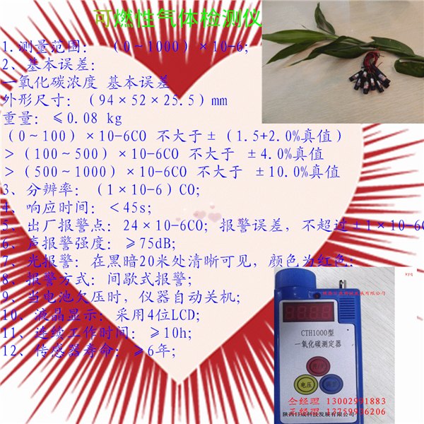 便携式一氧化碳报警器