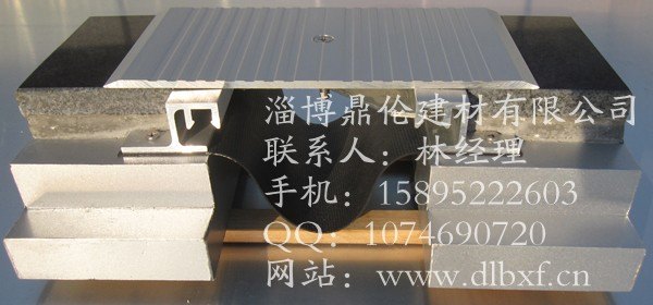 徐州变形缝 铝合金防尘地毯 厂家供应 现货 价格 制作安装