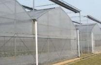 智能连栋温室建设对覆盖材料的选择