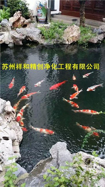 无锡市鱼池过滤鱼池循环鱼池净化，铲除青苔藻类。