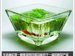 山东@@济宁生态鱼缸@@生态鱼缸代理[青州市美家