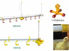 规模较大的家禽养殖自动水线生产企业|家禽养殖自动