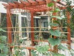 防腐木凉亭【专供商LOOK！】天景防腐木制品