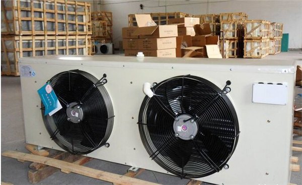 福建泉州冷风机-泊头市冷风机DD-60制冷设备/河北泊头冷风机厂