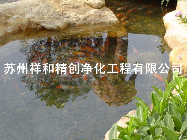 吴江市鱼池净化循环过滤，效果百分百，服务一流。