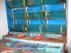销量好的海鲜池在哪可以买到|耐用的海鲜池