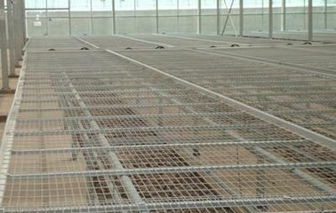 一大批好产品来袭☆苗床网哪家好？山西博超价格实惠