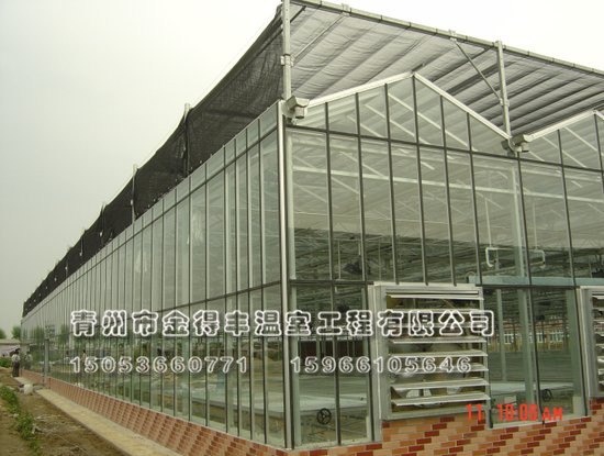 蔬菜玻璃温室建设#山西连栋温室建设#山西专业连栋
