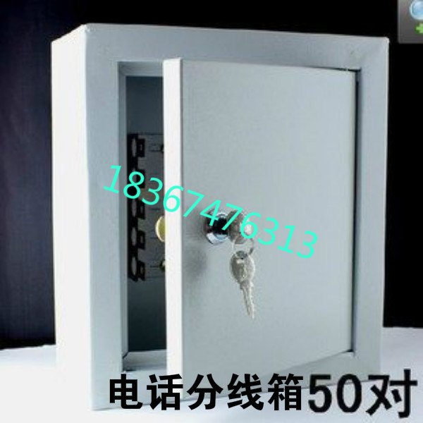 电话分线箱 50对电话分线箱 壁挂卡接式电话分线箱【室外室内】