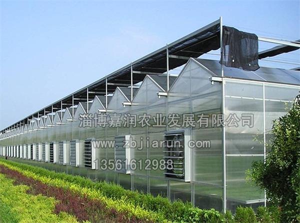 河北温室大棚建设//温室大棚建设//山东温室大棚