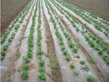 山东农膜_山东农膜厂家_山东农膜价格_山东农膜报