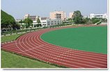 想买优惠的塑胶跑道就来王天赐体育用品