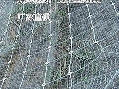 衡水提供性价比高的SNS边坡主动防护网|高质量边