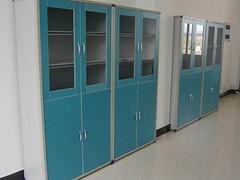 文件柜价格如何 优质实验室家具药品柜供应批发