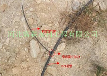 现货供应海南橙子果树专用滴灌管