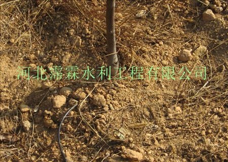 供应供海南地区红椰果树滴灌工程设备