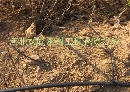 供应海南果树滴灌工程设备