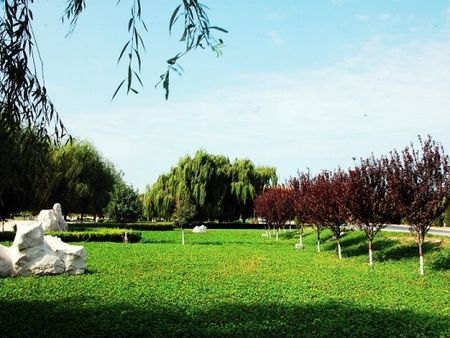 园林绿化工程【质量保证】干园林绿化工程价格，放心