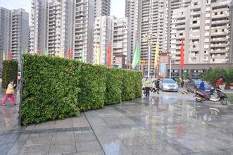 无锡广场植物墙|无锡广场植物墙施工公司【誉盛】精