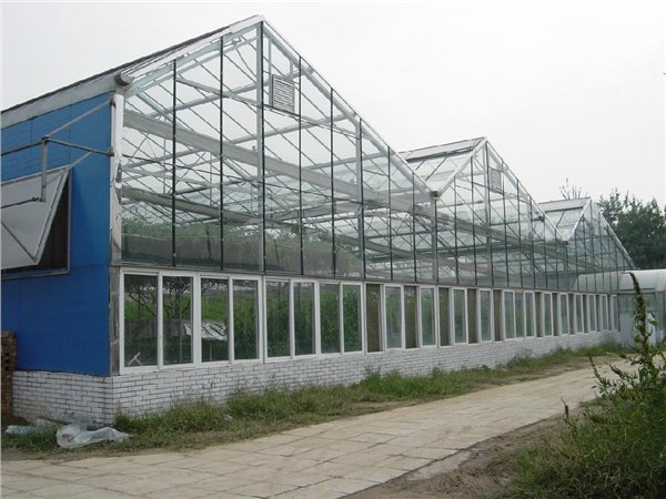【new】山东【茄子育苗、黄瓜育苗】温室大棚建造