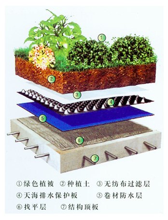 建筑地下室顶板绿化种植系统