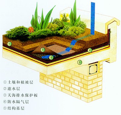 建筑屋顶花园系统