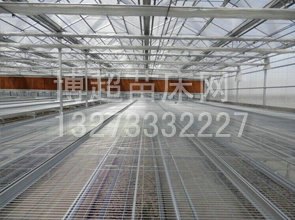 移动苗床网陕西厂家博超“狠”给力，价格不贵