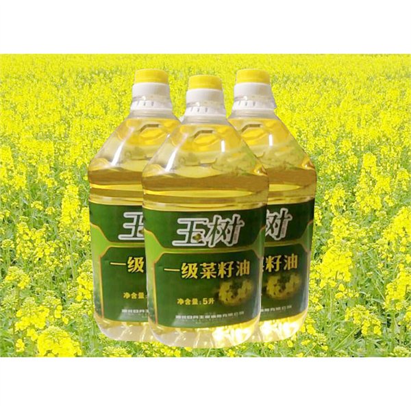 玉树一级菜籽油5L20L食用油菜油营养丰富来自中国菜籽油之乡