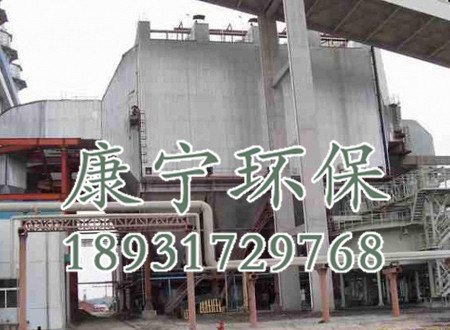 专业供应循环硫化床锅炉除尘器