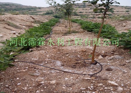 现货供应潮州果园黑色毛管产品
