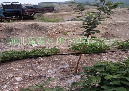 现货供应潮州地区果园滴水毛管