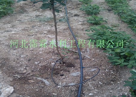 供应梅州滴灌毛管设备批发