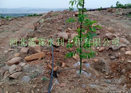 阳江地区滴灌毛管/厂家直销优惠