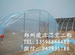山西温室大棚（电话咨询）河南建业温室 建造设计拱形蔬菜大棚