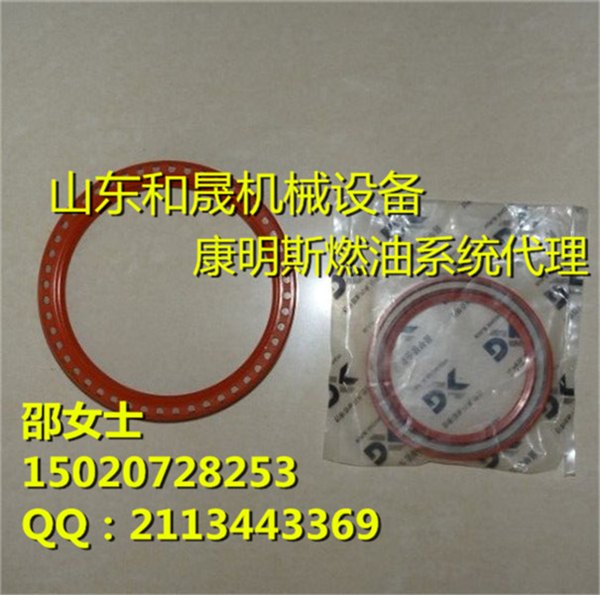 2016东康价格 Cummins C4993027 QSL9  油封