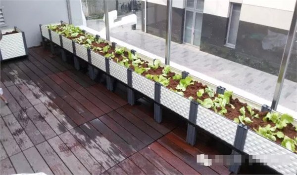 廊坊长方形蔬菜种植箱供应